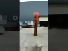 मौसम के कारण खराब होने वाली कॉर्टन स्टील की मूर्ति