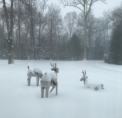 नवीनतम कंपनी ब्लॉग के बारे में क्रिस्टलीय झुंड: जहाँ प्रकृति ज्यामिति से मिलती है