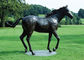 बड़े कांस्य घोड़े की मूर्तिकला, बाहरी कांस्य की मूर्तियाँ घोड़े की प्राचीन डिजाइन आपूर्तिकर्ता